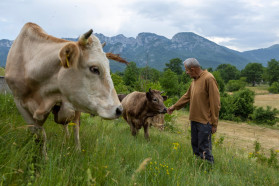 People and communities of Komarnica: village life
